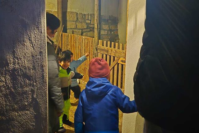 Besuch bei den Schafen Familie-besucht-kleinen-Stall